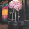 :"YouZeum" interactive  Science Center, Columbia Missouri Brainazium